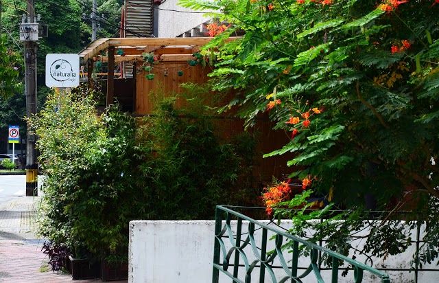 Naturalia Café